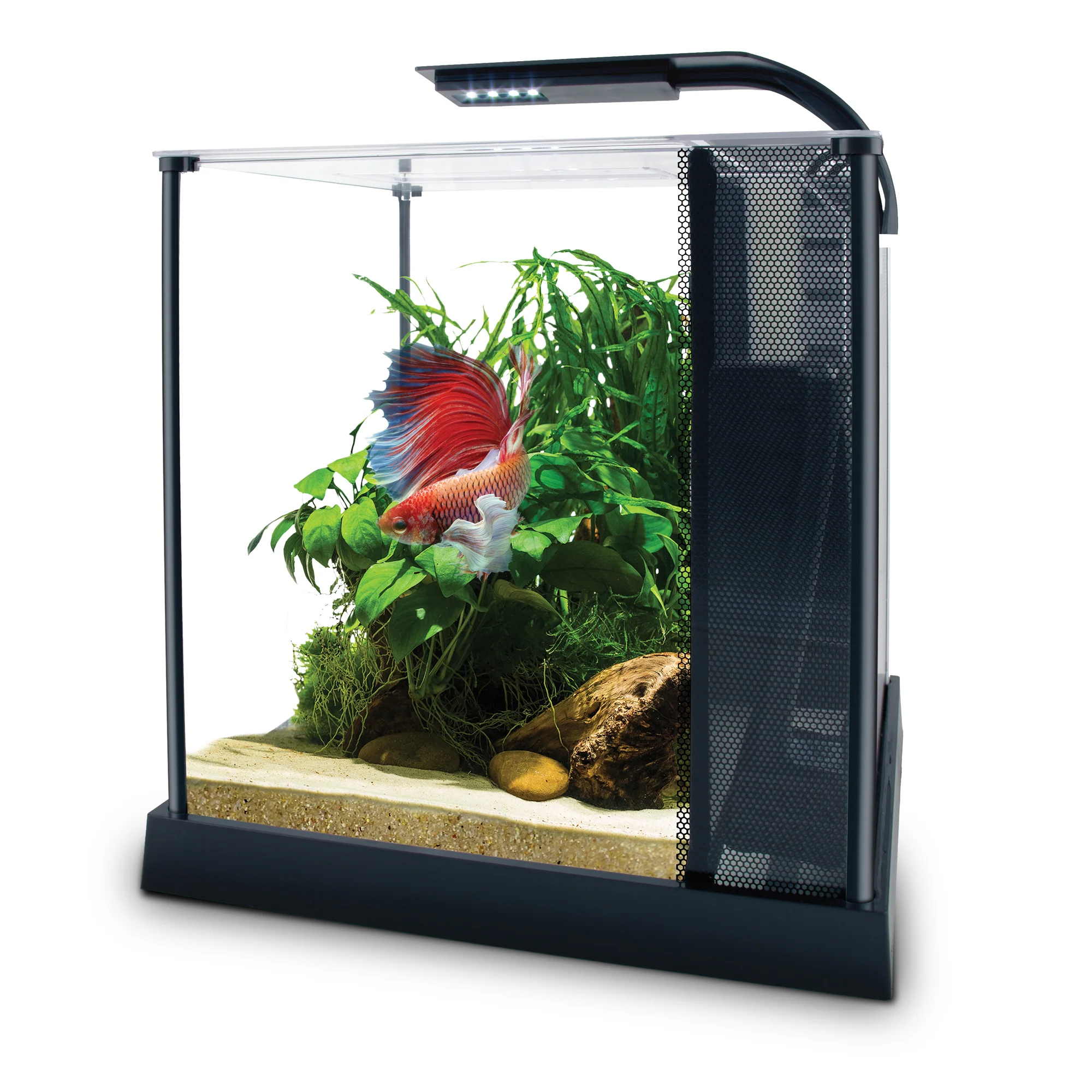 Fluval Betta Kit 2.6 Gallon - Image 5