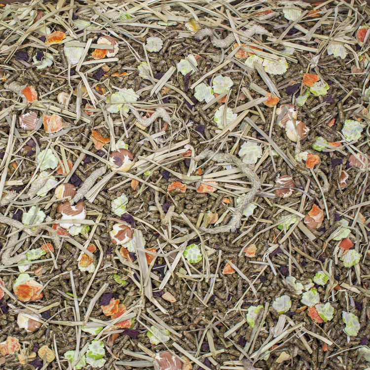 Higgins Vita Garden Guinea Pig Food - Image 3