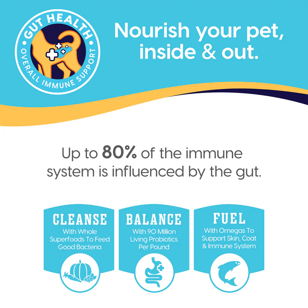 Solid Gold Bone Broth Beef for Dogs - Image 4